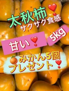 2025年最新】みかん サインの人気アイテム - メルカリ