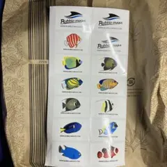 Item thumbnail for item 657e88d6-b0eb-44a1-ade1-97c9ff5e7b3d