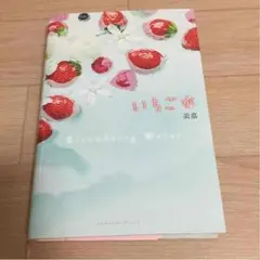 ケータイ小説 〝 いちご水 〟作家：美嘉