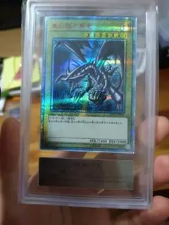 ARS10 真紅眼の黒竜 レッドアイズブラックドラゴン 遊戯王 YAP サイン