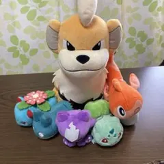 ポケモンぬいぐるみセット
