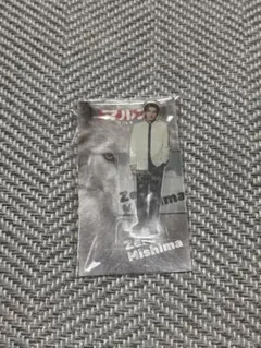 マルス 道枝駿佑 アクスタ