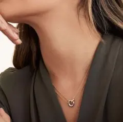 リングサークル ネックレス サージカルステンレス 【爆売れ】 ゴールドシルバー