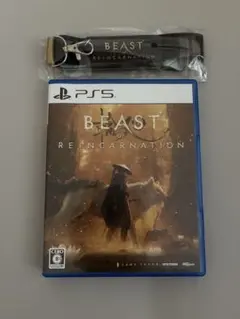 BEAST OF REINCARNATION ビーストオブリンカネーション
