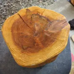 丸太(杉)