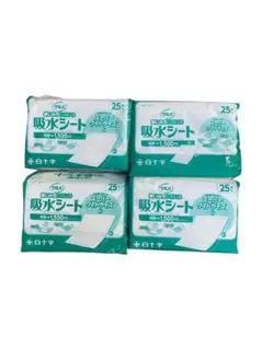 Item thumbnail for item 893fb30b-45cb-4948-9ea3-6dd00af08198