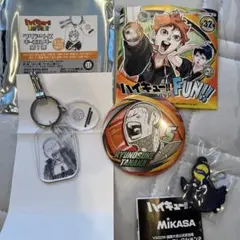 ハイキュー　ファンパーク　田中龍之介　クリアベースキーホルダー　缶バッジ　他