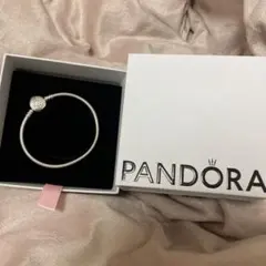 Pandora フィリピン 限定チャーム 定価13,650円 - メルカリ