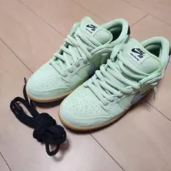 Nike SB Dunk Low Pro 