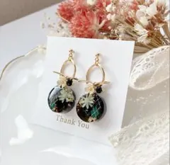 アーガイル柄×リトルウッズ♡ピアス　再販不可　2080