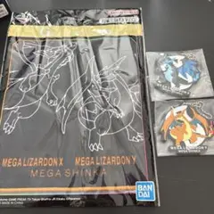 一番くじポケモンメガシンカ　G賞 I賞セット