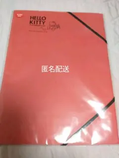 ハローキティ A4 紙ファイル 2007年発売 レトロ サンリオ 推し活