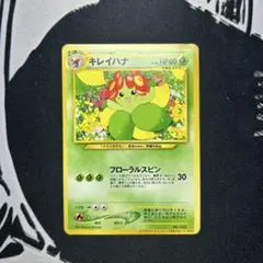 2026年最新】キレイハナ 旧の人気アイテム - メルカリ