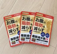 【新品未開封】脂肪減少源EX 60粒入 30日分× 3袋セットのサムネイル