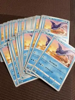 マンタイン 37枚のサムネイル