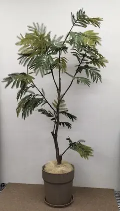 2026年最新】エバーフレッシュの人気アイテム - メルカリ