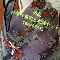 5525美品　お得な着物と羽織セット