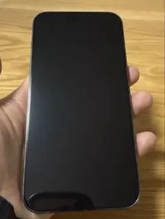 iPhone 14 Pro Max 256GB/動作確認済｜ケース付き