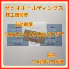 ゼビオホールディングス株主優待券20%割引券1枚&10%割引券4枚