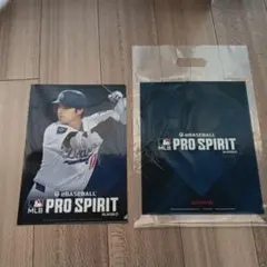 MLB開幕戦　大谷　クリアファイル