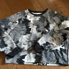 Item thumbnail for item b866fbbd-9522-45f2-b7c3-3140f325e3ef