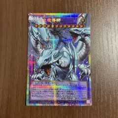究極竜魔導師 マスターオブドラゴンマギア オーバーフレーム プリシク
