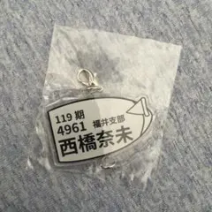 西橋奈未 タレントグッズ 4961のサムネイル