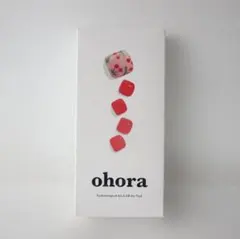 ohora PD-018 オホーラ ジェルネイルシール 硬化タイプ フット 足