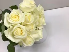 nekoneko様 リクエスト 2点 まとめ商品