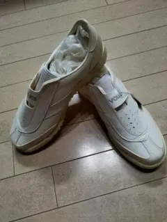 Item thumbnail for item d3a8462d-786e-472c-aeb9-80e78e239972