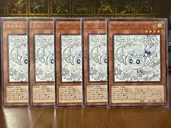 マルチャミー・フワロス　5枚セット