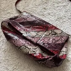 ZARA ザラ　パイソン柄 ショルダーバッグのサムネイル