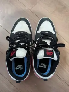 NIKE SB スニーカー 　ブラック✕ホワイト✕レッド