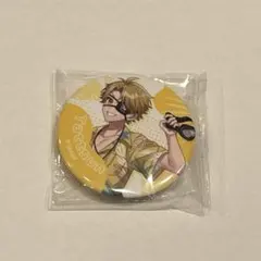 カラフルピーチ　たっつん　サマーランド　缶バッジ　等身