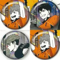 ハイキュー ジャンプシャイニー缶バッジ 日向翔陽 14点セット - メルカリ
