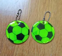 Item thumbnail for item 74c396b9-f46e-4f95-906d-39a3711f5f6f