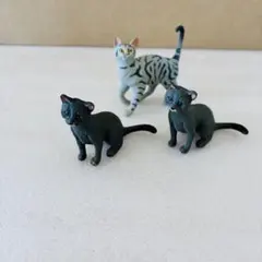 Item thumbnail for item 422d5952-f449-464d-b7c9-6fac9da7fd30