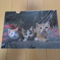 仕事猫 クリアファイル 現場 施工 管理 建設 キャラクター - メルカリ