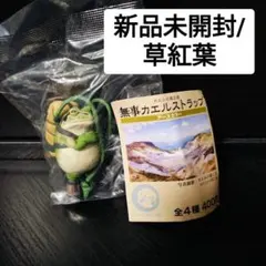 Item thumbnail for item 054f23d5-1abe-4348-be34-dcf6487af1f2