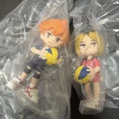 ハイキュー パルバース 日向 孤爪 セット