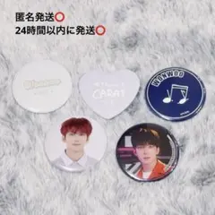 SEVENTEEN ウォヌ 缶バッジ 5個セット