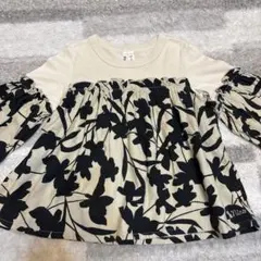 Item thumbnail for item 428b1845-f8df-4f96-b112-082d1abf9890