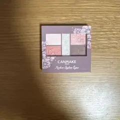 CANMAKE パーフェクトスタイリストアイズ 22