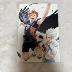 ハイキュー　ハイキュー展　星海光来　日向翔陽　原画展　ポストカード