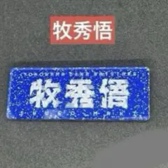 刺繍横浜DeNAベイスターズ 2番号 牧 秀悟 選手 O サイズ 応援 - メルカリ