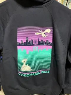 Item thumbnail for item 48e53561-e8cf-4cff-8cc6-27d02a32f466