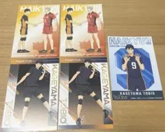 ハイキュー　影山飛雄　アニメイトフェア　特典ポストカード