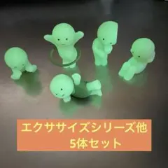 スミスキー エクササイズ リビングシリーズ まとめ売り 5種セット☆