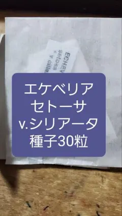 ねっこ様 リクエスト 2点 まとめ商品