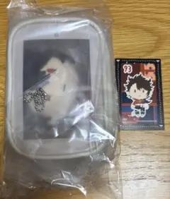 Item thumbnail for item 50524787-8c8e-4a85-9ba7-ee9db8c03c07